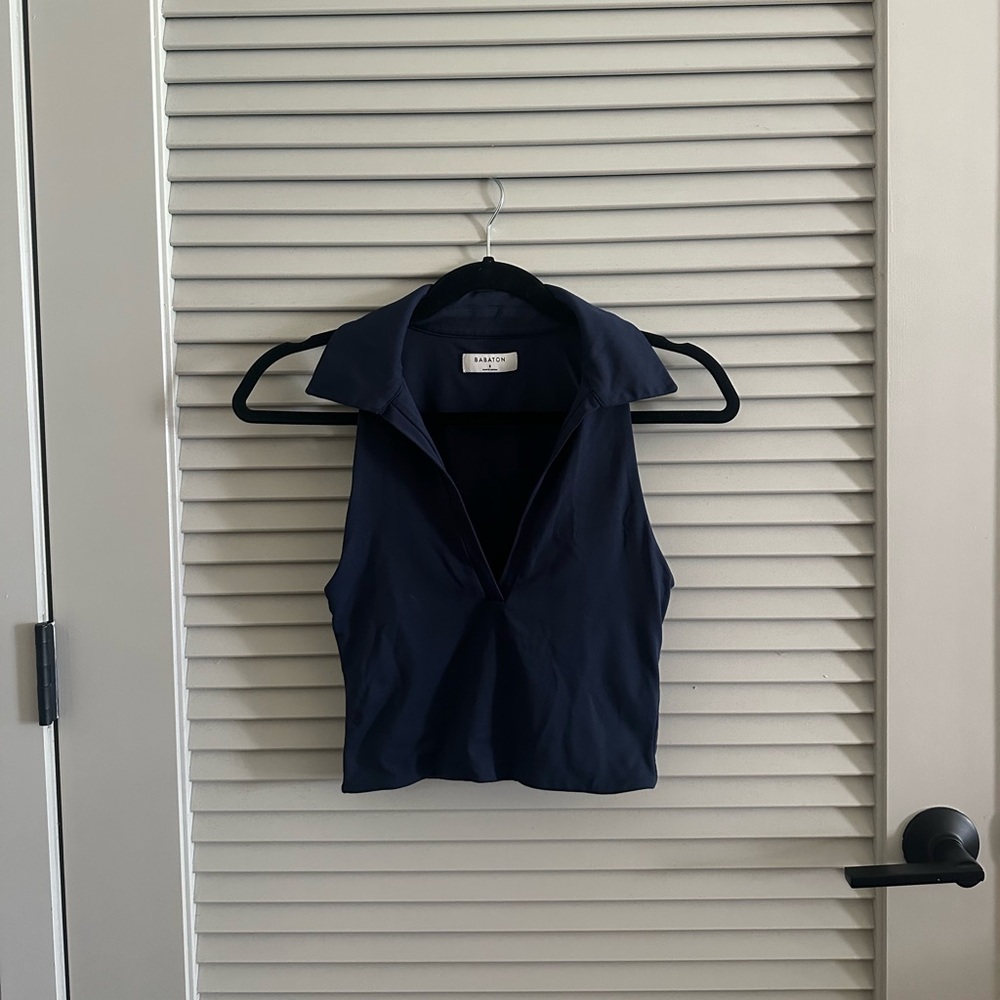 Aritzia Babaton Crop Top